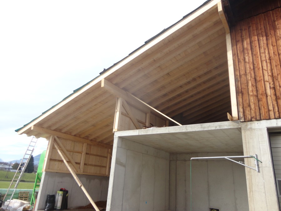 Holzbau Zimmerei Landwirtschaft Pinzgau 3